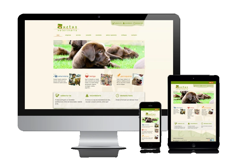 Sitios web responsivos